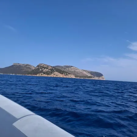 Gemma 1 * Olbia